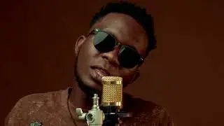 Edwizzy bow purpose (show room video)