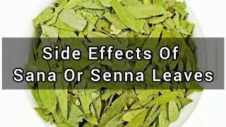 Side Effects Of Senna Leaves Or Sana Leaves / Sana Makki / Sana ka Patta