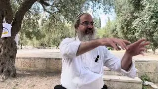 רחמנא ליבא בעי &bull; אבל הגאולה מגיעה עם עבודת ה׳ כההשתחוויה | הרב אלרן מונסנגו