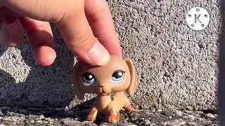 Saying where we get lps(skit)