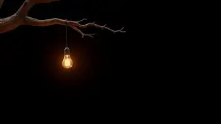 Tree branch hanging light black screen | Overlay light effect black screen 