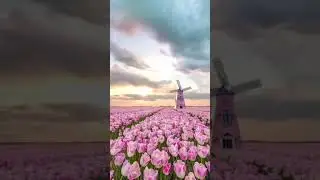 Peaceful pink garden with windmill - AI dream scene