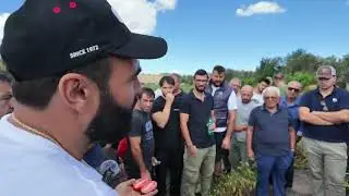 FORIGO | Precision Mulch Seeding of Processing Tomatoes with Modula Jet 🍅