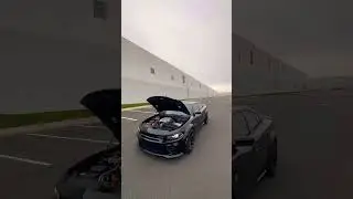 В какой цвет мне обклеить свой Hellcat? #mopar #moparmemes #hellcat #hellcatcharger