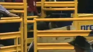 Yellow Jacket (Bucking Bull) - 98 NFR