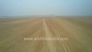 Sambhar Lake dry lakebed and salt flats from above