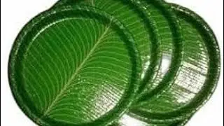 মাত্ৰ ১০০০ টকাত দিছপাত ব্যৱসায় আৰম্ভ | Paper Plate machine in guwahati | Paper Plate making machine
