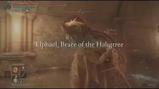 ELDEN RING Co-op Session