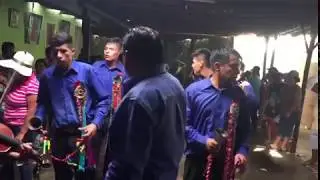 Baile de Negritos 