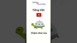 Finnish idioms (P3) - Th&agrave;nh ngữ tiếng Phần Lan #finnishlearning #hoctiengphanlan #finland