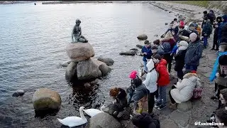 Watching Tourists Go CRAZY for The Little Mermaid in Copenhagen, Denmark...