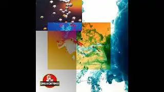 Ursula's Cartridges - bumblebeespa