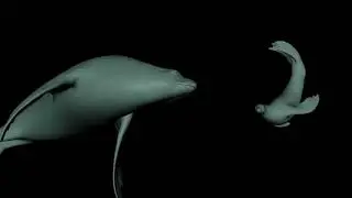 Tissue Simulation