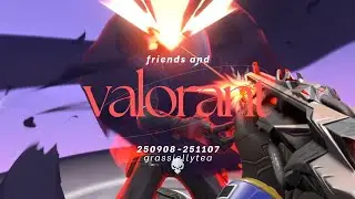 valorant with friends 009