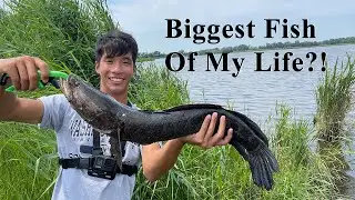 SNAKEHEAD FISHING CHALLENGE W/ 1ROD1REELFISHING