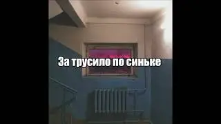 тгк: ❄️BelluY❄️ 