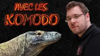 Au contact des Dragons de Komodo !