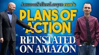 Saving Sellers Businesses by Writing Plans of Action Reinstating Suspended Accounts on Amazon