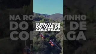 Monte seu grupo para o Chile com a PTA Operadora