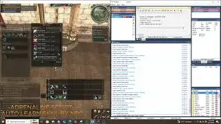 LINEAGE 2 - SMART SCRIPT AUTO LEARN SKILL BY NPC