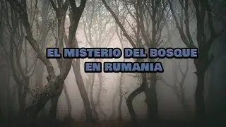 EL MISTERIO DEL BOSQUE RUMANO