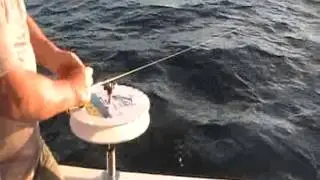 Easyset Longline 4 - Retrieval (part 1)