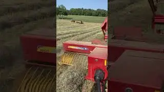 Baling Orchard grass
