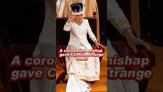 A coronation mishap gave Camilla strange smell #camilla #charles #royal #fyp