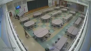 Deer crashes through window at Amherst Junior High School, enters cafeteria