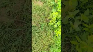 #rohitreels2026 #comedy #reels2026 #rohit_shorts