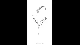 Easy wildflower drawing ideas 🌸