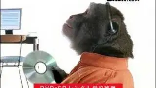 DMM.com