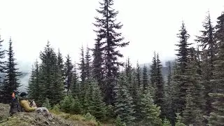 Scouting Elk: How To Find Elk in a New Hunting Area