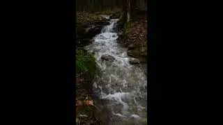 Our Nearby Creek