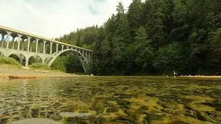 Cape Cove Beach | Beautiful Little Beach at Heceta Head, Yachats Oregon