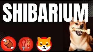 SHIBARIUM TVL!!! HOW TO GET GOOD ENTRY ON ANY CRYPTO