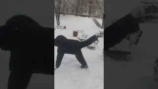 как п****** снигавика