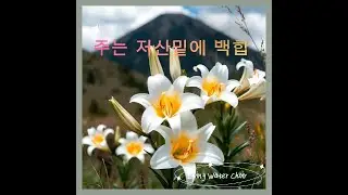 주는 저산 밑에 백합 (The Lily of the Valley) Living Water Choir