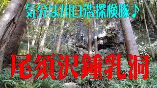 気分は川口浩探検隊・尾須沢鍾乳洞2025＠埼玉県飯能市
