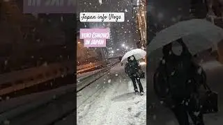 yuki Snow #shortvideo #4k #japanlife #japan info Vlogs