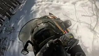 Ride through the trees, making my own trail