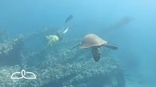 Islands Under The Water | Hawaiian Islands