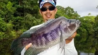 Rainbow Bass Guapote Fishing Nicaragua Costa Rica