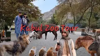 Kabul Zoo Tour 2023 4K || Kabul Afghanistan || BEAUTIFUL AFGHANISTAN ||