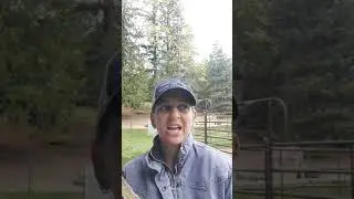 Equine Communication- Pain in Horses: Understanding Unwanted and Dangerous Horse Behavior