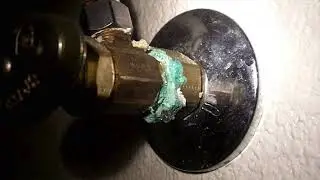 Water Damage Prevention