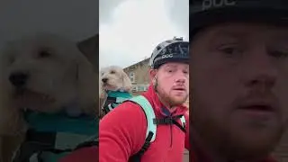 Dog backpack. K9 sport sack