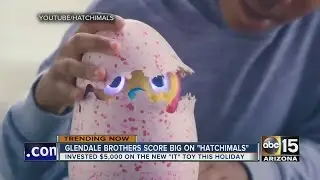 Glendale brothers making a killing in unlikely toy investment