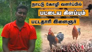 நாட்டு கோழி வளர்ப்பில் பட்டைய கிளப்பும் பட்டதாரி இளைஞன் | குறைந்த முதலீடு | nanbatv