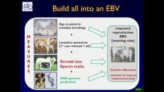 Genetics for Reproduction - The Male Influence